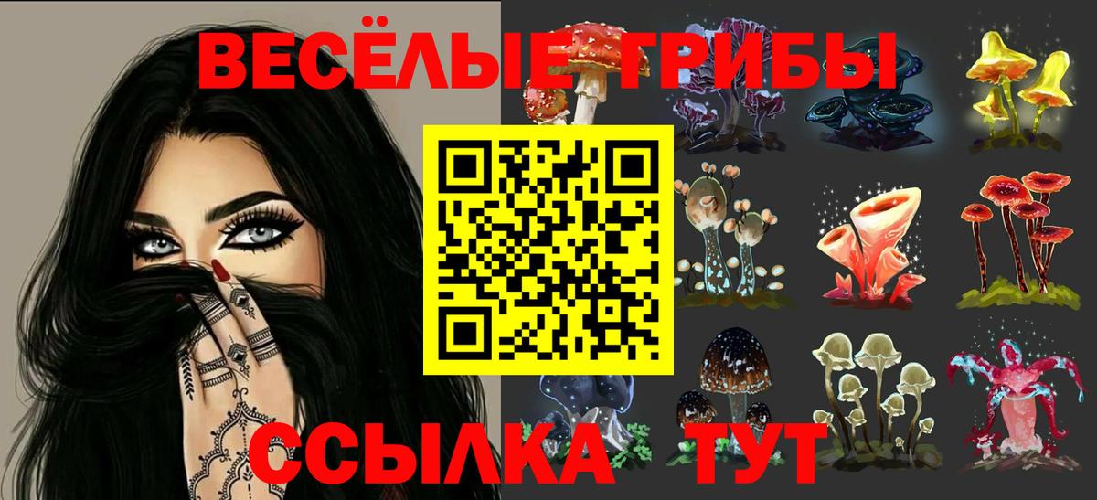 Семёнов  Галлюциногенные грибы Magic Shrooms  Вход с VPN 